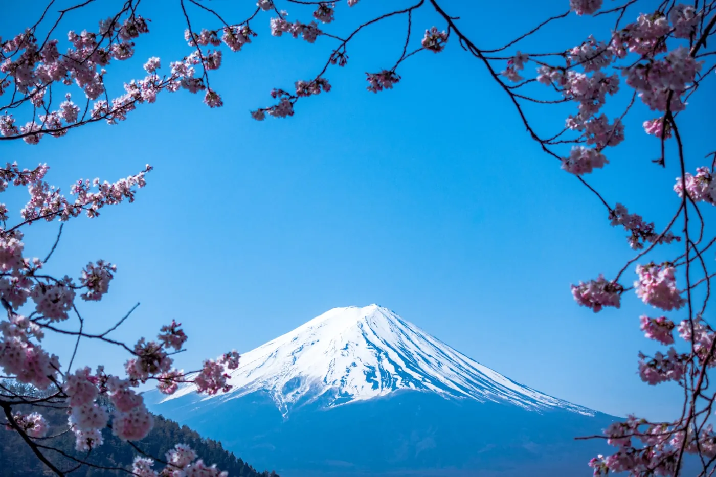 中部の風景