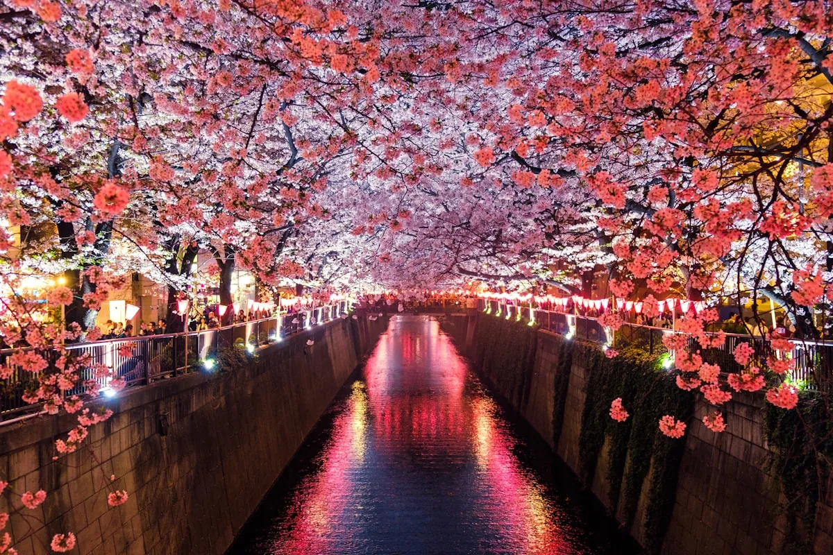 日本の風景